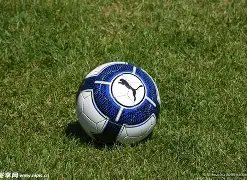 得奖瞬间汇,独家视频全,精彩不容错,DG真人视讯,DG真人,(Sports),DG视讯官网,DG真人官方平台