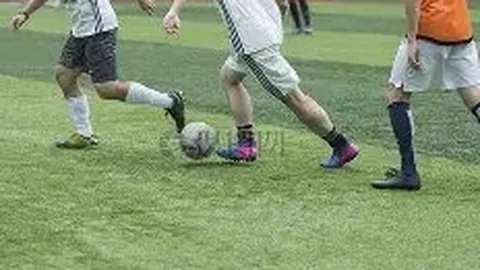 DG真人视讯 产品 100001 mvt