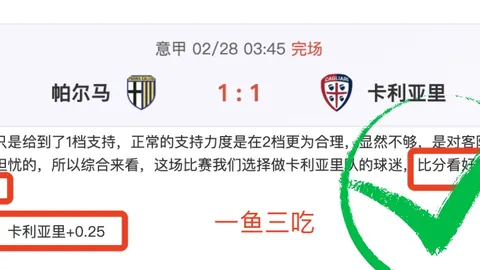 燕云十六声河西区内容扩展解读全面公布资讯概览